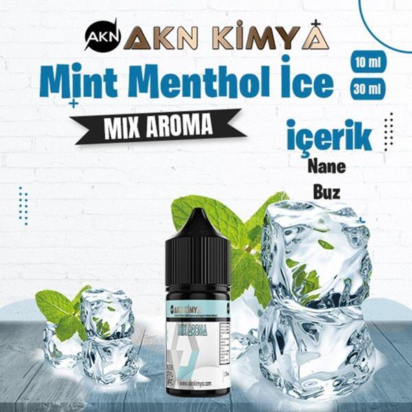 Mint Menthol İce Mix Aroma Nane Buz Gıda Aroması 10 ml - Image 1