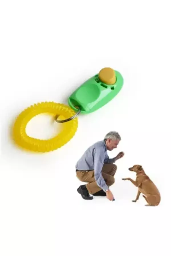 Büro Ev Evcil Hayvanı için Köpek Eğitim Aleti - Image 1