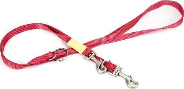 Beeztees Köpek Gezdirme Kayışı, Pembe, 200cm, 20mm - Image 1