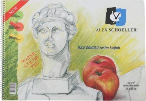 Alex Schoeller Resim Defteri 35x50 120 Gr 25 Sayfa Şeffaf Spiralli Kapak Alx-0823 - Image 1