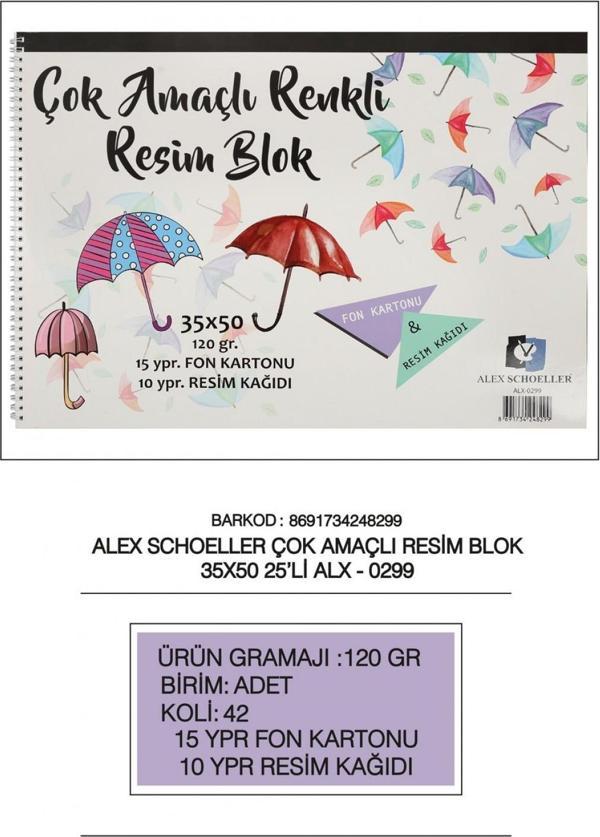 Alex Schoeller Resim Defteri Spiralli Çok Amaçlı 15 Yaprak 35x50 120 Gr ALX-0299 - Image 1