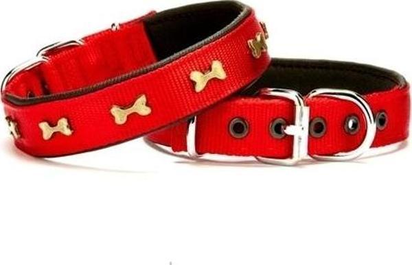 Doggie Softlu Kemik Desenli Köpek Tasması 2,5 cm x 50 cm Kırmızı - Image 1