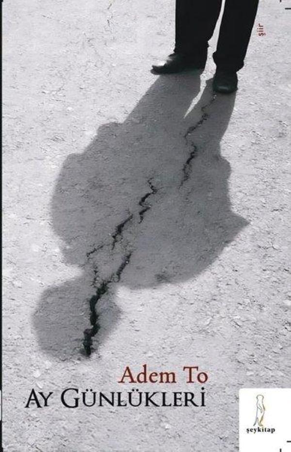Ay Günlükleri - ŞYK Kitap - Image 1