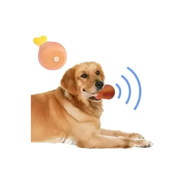 Büro Ev Evcil Hayvanı için Sesli Tavuk Butu Köpek Oyuncak - Image 1