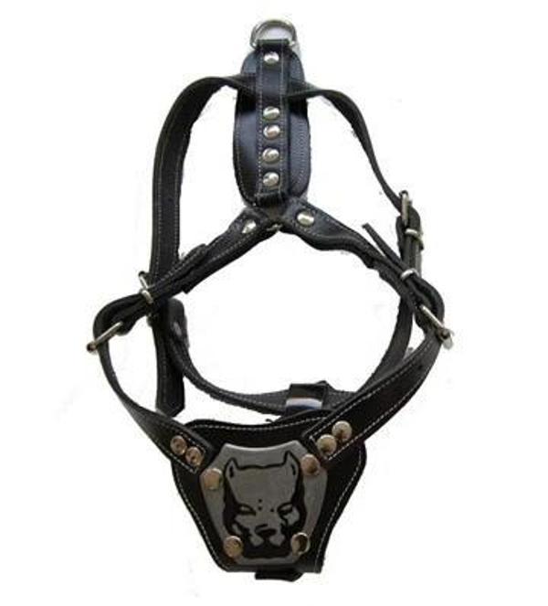 Gladiatus Gladyatör Deri Köpek Göğüs Tasması XL 60*80 cm - Image 1