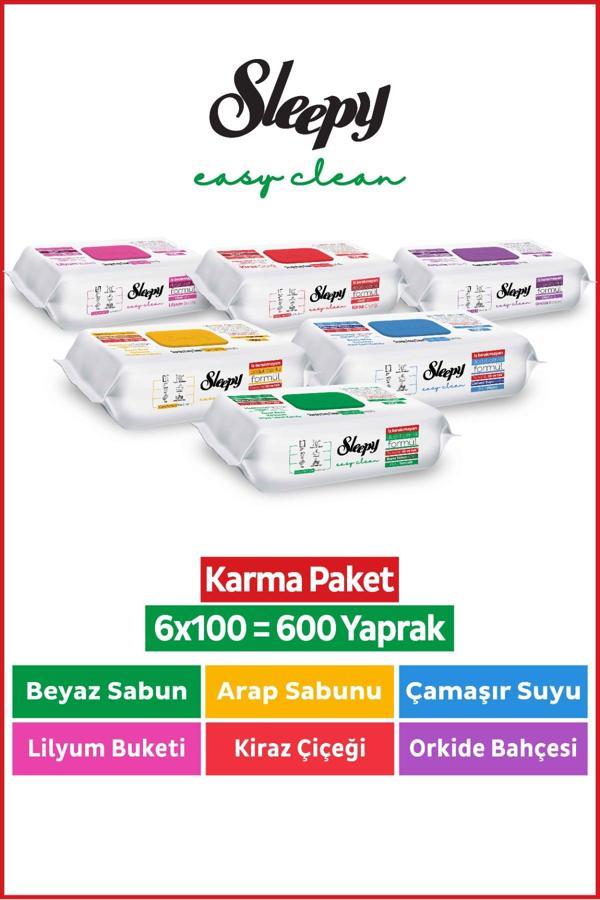 Sleepy Easy Clean Yüzey Temizlik Havlusu & Mendili 6x100 Karma Paket - Image 1