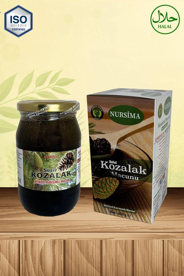 Nursima Selvi Kozalak Macunu 420 Gr - Image 1