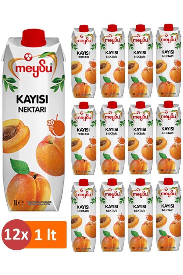 Meysu Kayısı Nektarı Meyve Suyu 1 Lt X 12 Adet - Image 1