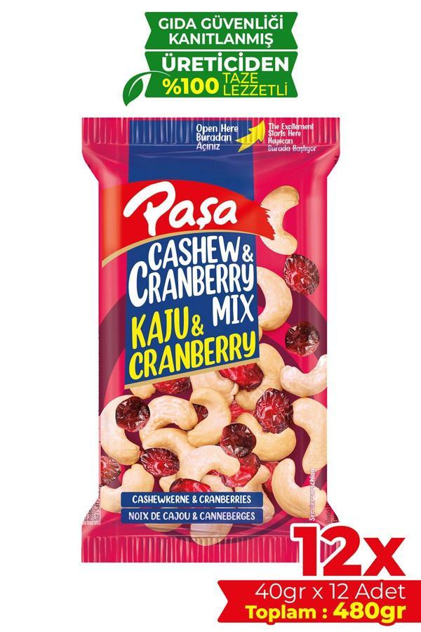 Kaju & Cranberry 40 gr X 12 Adet (480 GR) - Image 1