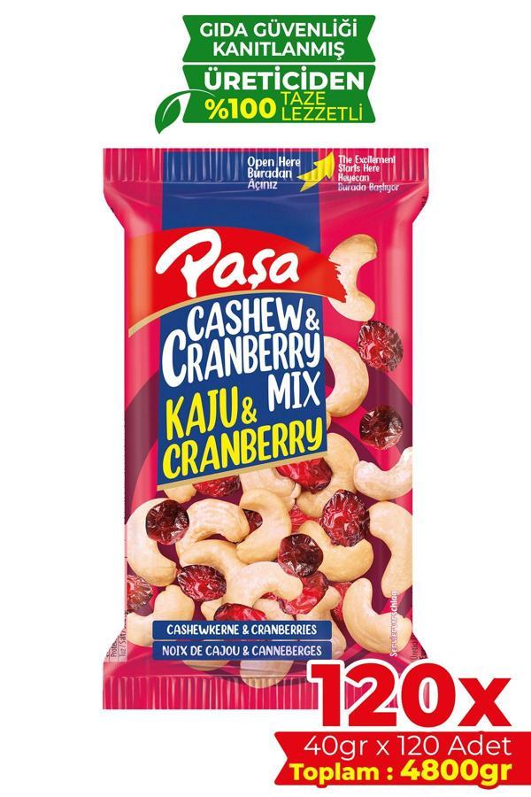 Kaju & Cranberry 40 gr X 120 Adet (4800 GR) (TOPTAN KURUYEMİŞ) - Image 1