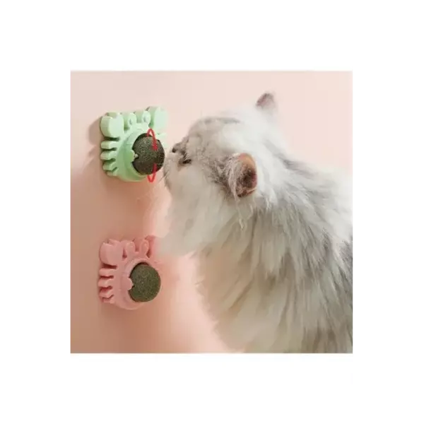 Büro Ev Evcil Hayvanı için Yengeç Kedi Otu Oyunu Topu - Image 1