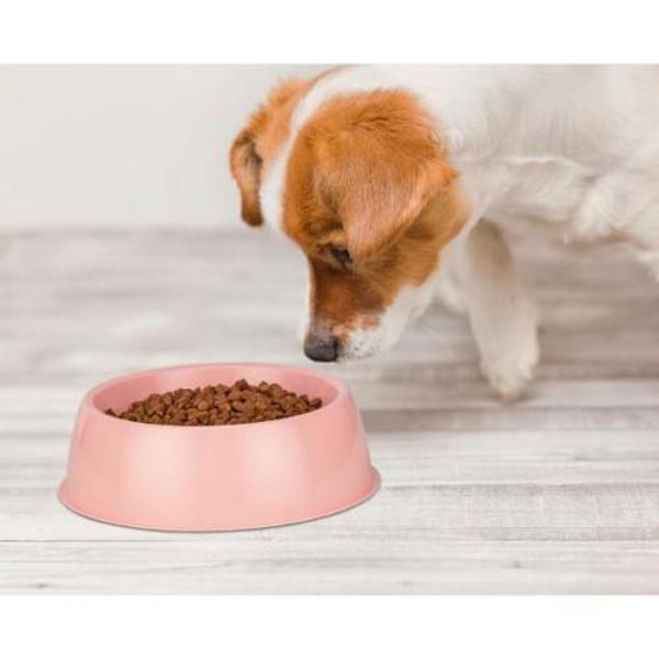 Büro Ev Evcil Hayvanı için Mini Oval Kedi Köpek Mama Kabı - Image 1