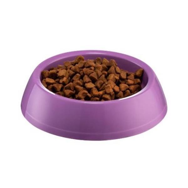 Büro Ev Evcil Hayvanı için Küçük Oval Kedi Köpek Mama Kabı - Image 1