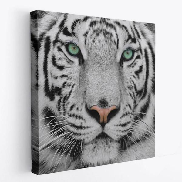 Kaplan Hayvan Temalı Dekoratif Kanvas Tablo, Duvar Dekoru 5807 - Image 1