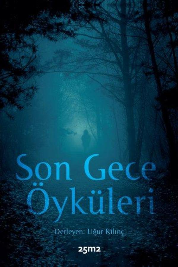 Son Gece Öyküleri - 25M2 Kitap - Image 1