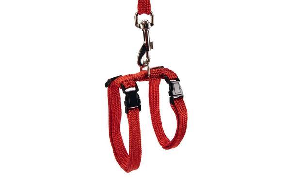 Beeztees Kedi Göğüs Tasması ve Gezdirme Kayışı, 130cm, Kırmızı - Image 1