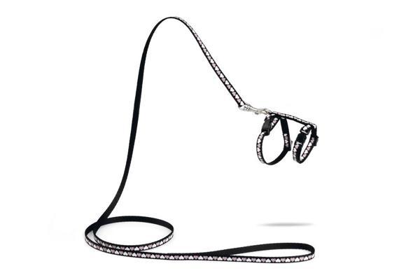 Beeztees Yavru Kedi Göğüs Tasması ve Gezdirme Kayışı 120cm, Siyah, 16-25cm Boyun, 23-36cm Göğüs - Image 1