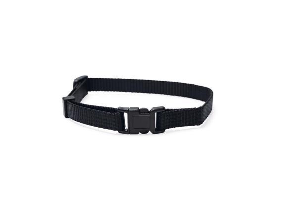 Beeztees Yavru Köpek Boyun Tasması, Çeşitli Renklerde, 22-35cm, 10mm - Image 1