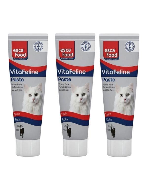 VitaFeline Destekleyici Multivitamin Paste 100Ml 3 Adet - Image 1