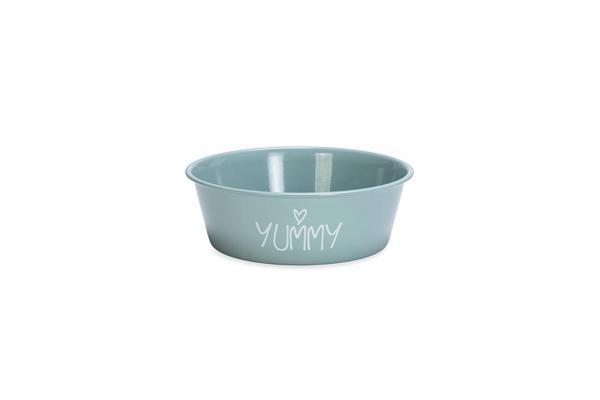 Beeztees Yavru Köpek Mama Su Kabı, Paslanmaz Çelik, Kaymaz Taban, Turkuaz, 13cm, 470ml - Image 1