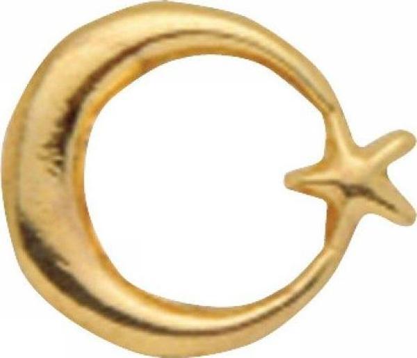 Vatan Vt634 Rozet Ayyıldızlı Prinç (Gold) 30 Lu (1 Paket 30 Adet) - Image 1