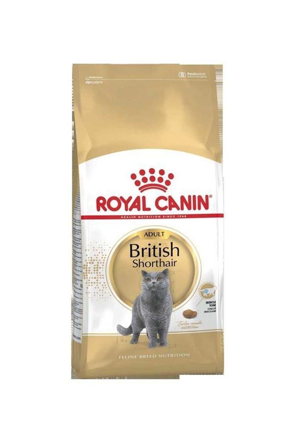 British Shorthair Adult Yetişkin Kedi Maması 4 kg - Image 1