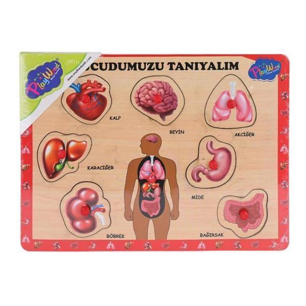 Nessiworld ONY-287 288 Ahşap Tutmalı Vücumuzu Tanıyalım -Onyıl Oyuncak - Image 1