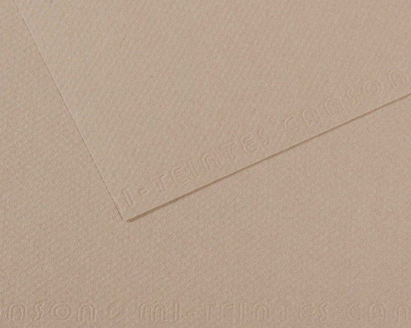 Canson Sh Canmt 50x65Cm 160 Gram Pastel Dokulu Fon Kartonu Grey 122 31032S095 (10 Lu Paket) - Image 1