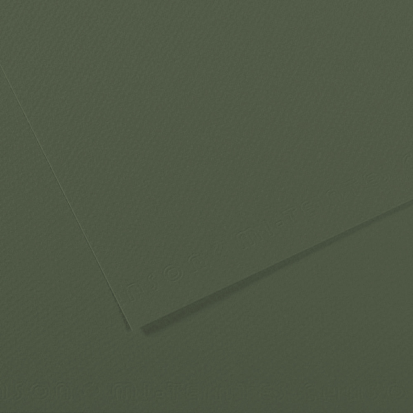 Canson Sh Canmt 50x65Cm 160 Gram Pastel Dokulu Fon Kartonu Grn 448 31033S121 (10 Lu Paket) - Image 1