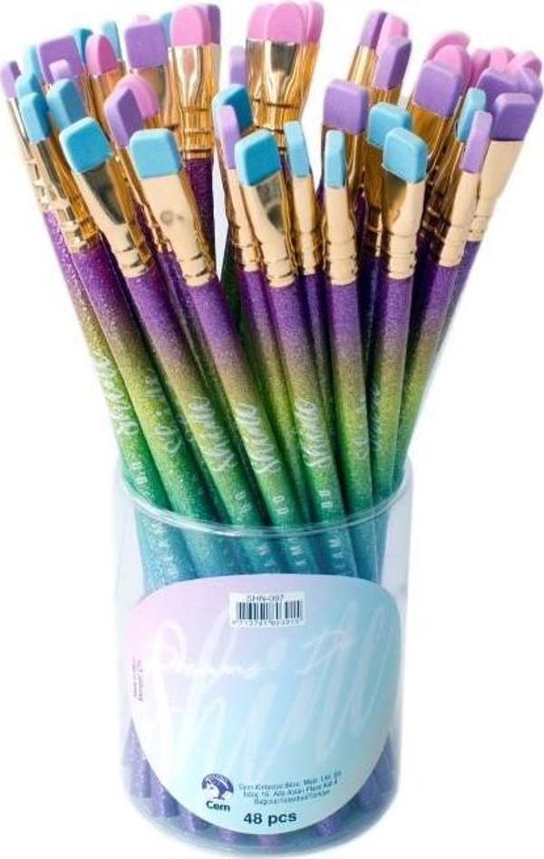 Dolphin Kurşun Kalem Silgi Shine Başlıklı Shn-097 (48 Li Paket) - Image 1