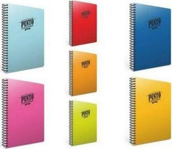 Gıpta Spiralli Defter Punto Plastik Kapak Çizgili 40 Yaprak A4 6530 (12 Li Paket) - Image 1