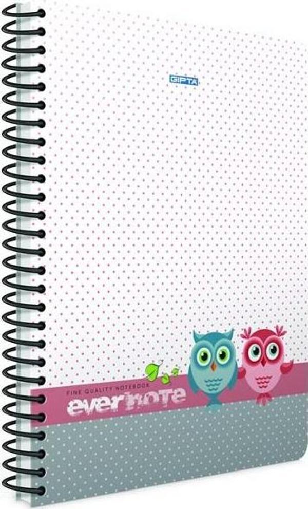 Gıpta Evernote A4 Spiralli Ofset Pp Kapak Defter 100 Yaprak Çizgili (4 Lü Paket) 1696 - Image 1