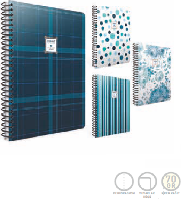 Gıpta Cobalt Spiralli Sert Kapak Not Defteri 20X28Cm 120 Yaprak Kareli (2 Li Paket) 5841 - Image 1