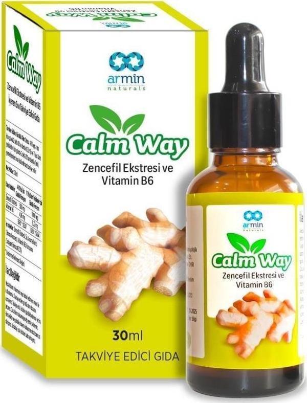 Armin Calm Way Zencefil Vitamin B6 Damla 30ml - Image 1