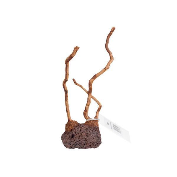 Doğal Lavtaşı Zemin Ahşap Dekor 8-10cm - Image 1