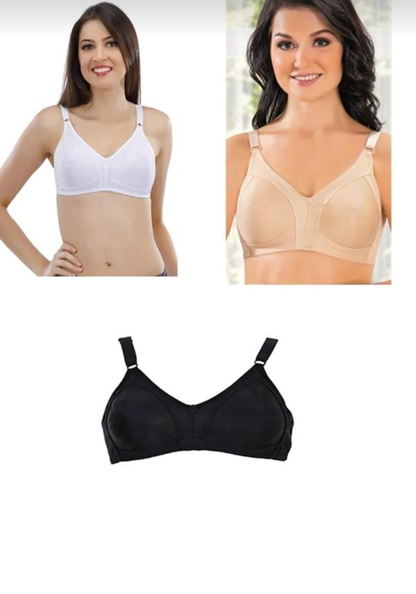 LİZA 539 PENYE TOPARLAYICI SÜDYEN KARIŞIK RENK 3 ADET - Image 1