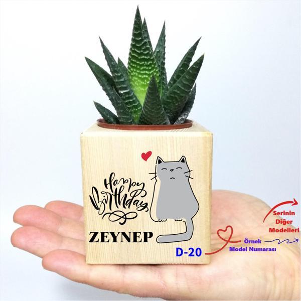 Kişiye Özel Doğum Günü Hediyesi Küp Saksı ve Haworthia Sukulent Z1 Serisi - Image 1