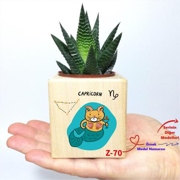 Kişiye Özel İsim Yazılı Küp Saksı ve Haworthia Sukulent Z2 Serisi - Image 1