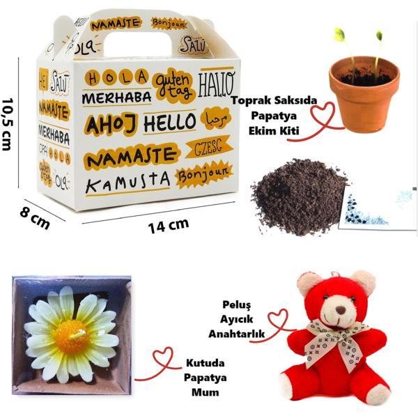 Özel Hello Kutuda Peluş Ayıcık, Papatya Mum ve Çiçek Ekim Kiti Hediye Kutusu - 03 - Image 1