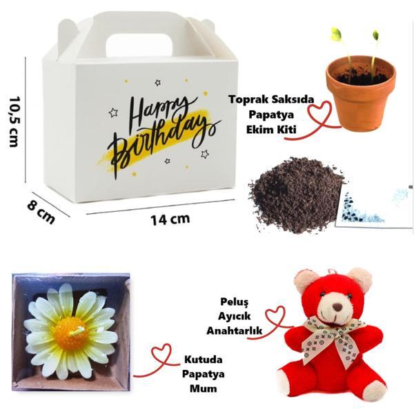 Özel Kutuda Papatya Temalı Peluş Ayıcık, Papatya Mum ve Çiçek Ekim Kiti Hediye Kutusu - 01 - Image 1