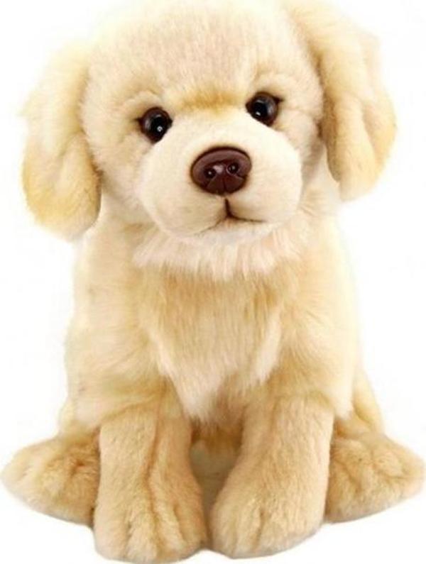 Neco Oyuncak Floppy Golden Retriever 28 Cm - Image 1