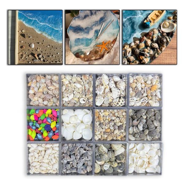 12 Farklı Minik Dekoratif Doğal Deniz Kabuğu Seti - Image 1