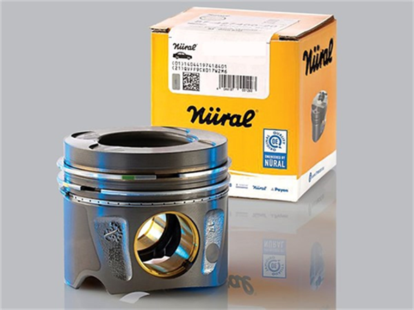 Chevrolet Captiva C100 Piston Takımı 0.50 Ölçü Göetze Nural - Image 1