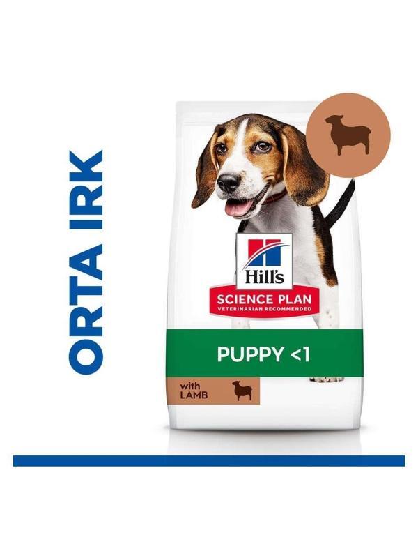 Hill's Puppy Medium Lamb Kuzu Etli Yavru Köpek Maması 14 Kg - Image 1
