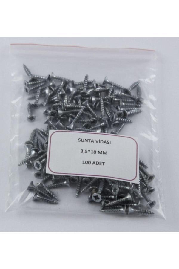 Meridyen 3,5*18 Sunta Vidası ( 100 Adet ) - Image 1