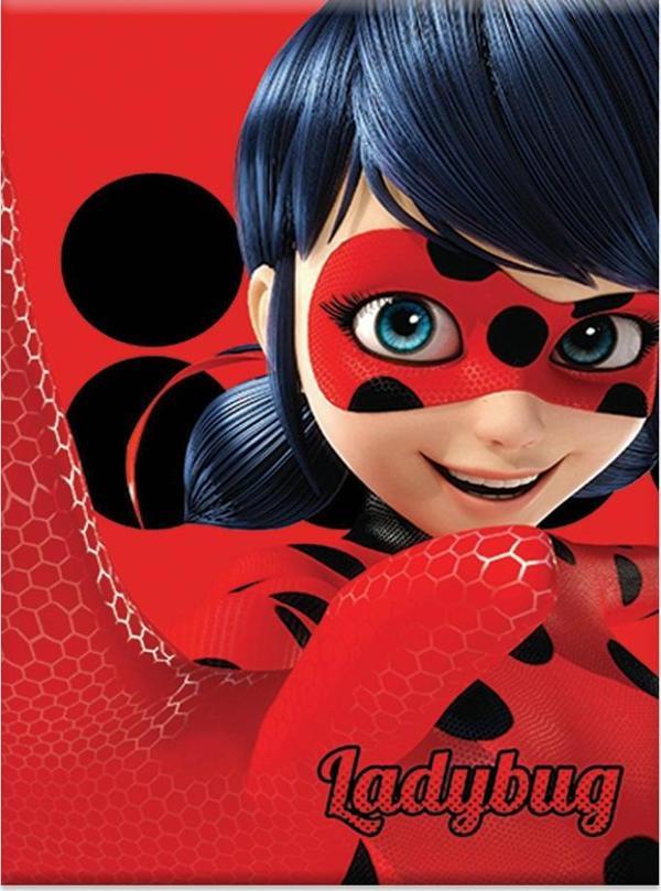 Keskin Color Lady Bug A5 40 Yaprak Çizgili Pp Kapak Dikişli Defter 60 Gram (12 Li Paket)  - Image 1