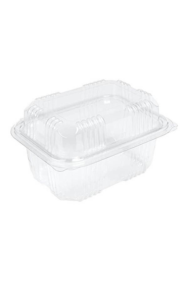 Sızdırmaz Kendinden Kapaklı Plastik Kap - Peynir Kabı 500 Gr (100'lü) - Image 1