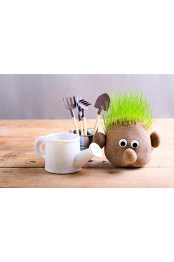 Çimoji Çim Adam Yapım Seti - Image 1