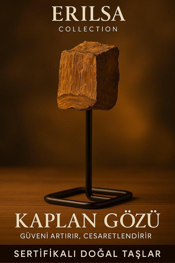 Sertifikalı Doğal Ham Kaplan Gözü Taşı Standlı Obje – Cesaret ve Odaklanma Enerjisi Sunar - Image 1