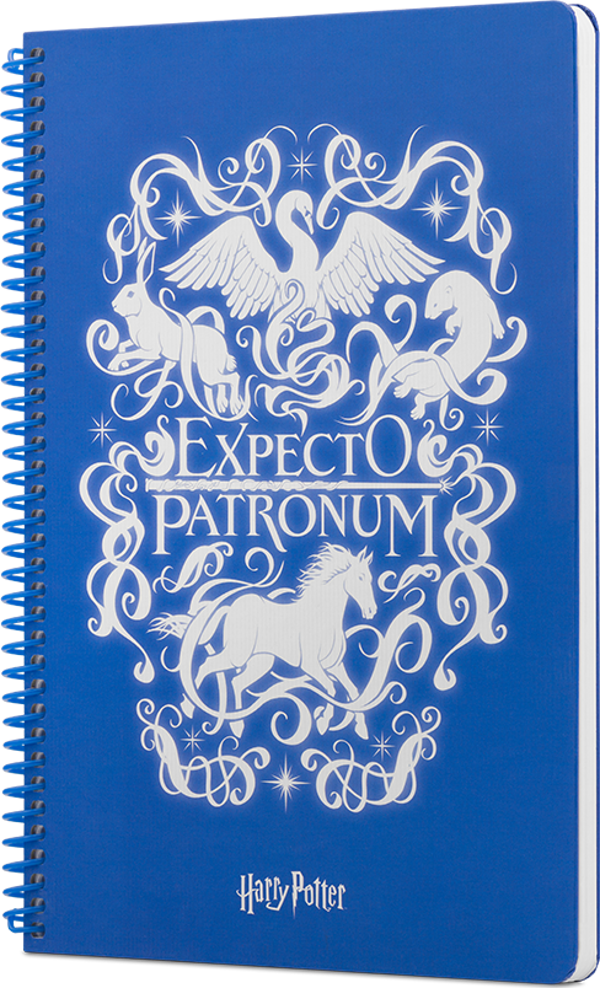 Mabbels Harry Potter Expecto Spiralli Not Defteri Mavi 80 Yaprak Çizgili 17X24Cm Dft-388449 - Image 1